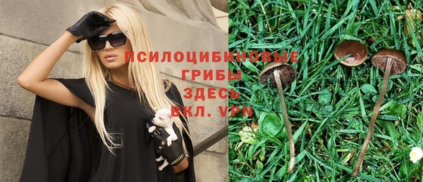 а пвп мука Балабаново
