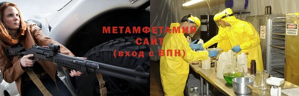 крисы Новокубанск