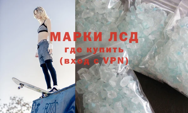 крисы Новокубанск